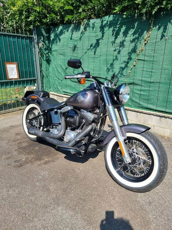 Harley-Davidson 1690 Slim (2011 - 16) - FLS (4)