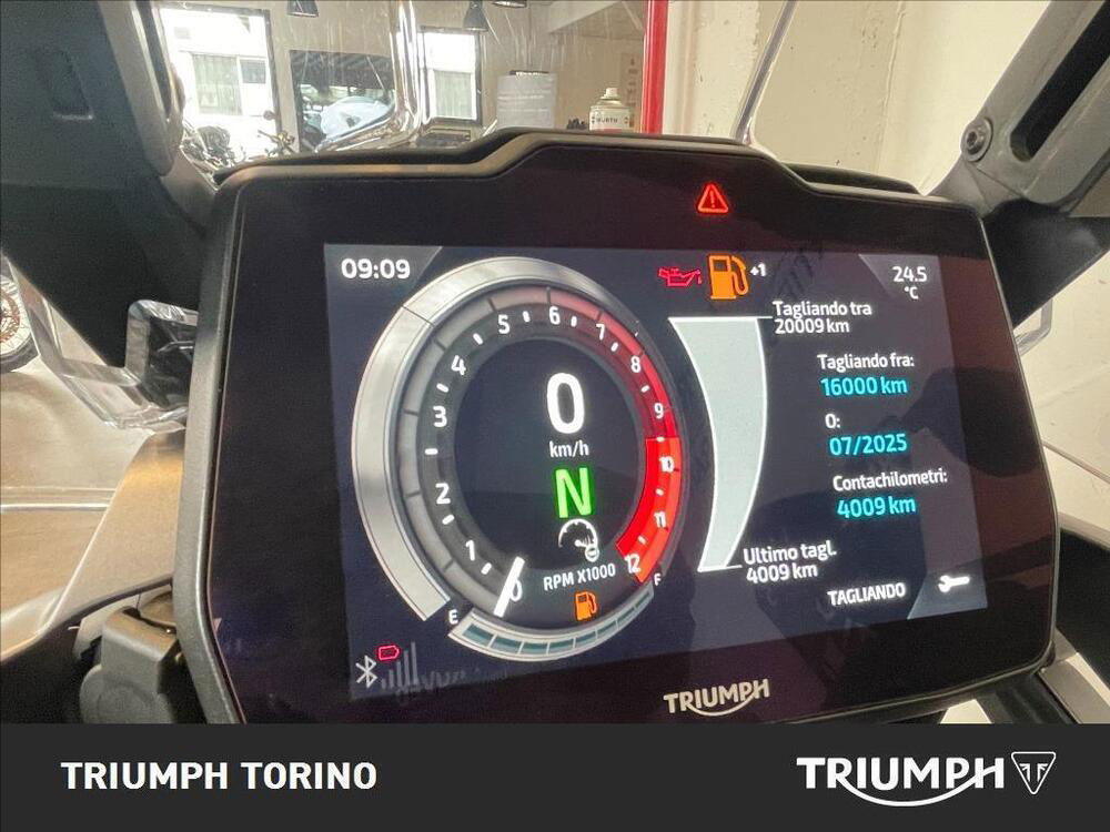 Triumph Tiger 1200 GT Pro (2022 - 23) (5)