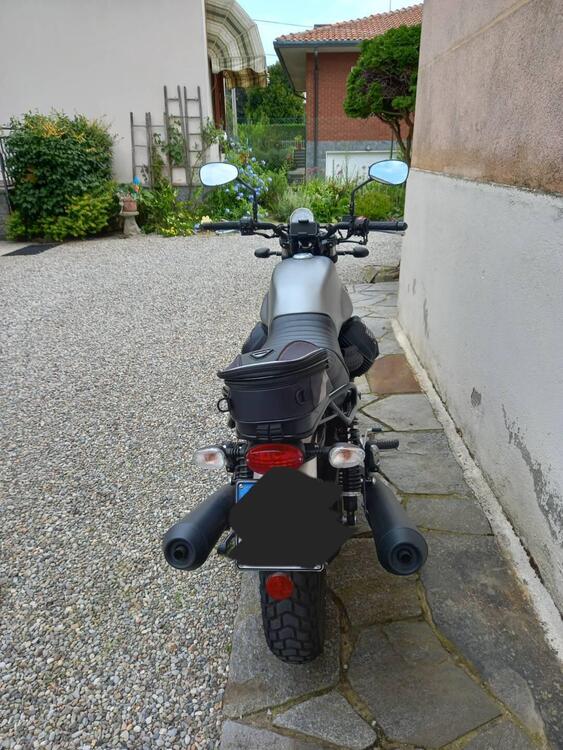 Moto Guzzi V7 III Rough (2018 - 20) (2)