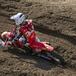 MXGP #13. GP Rep Ceca. E finalmente è Tim Gajser (con il ritorno di de Wolf) [GALLERY]