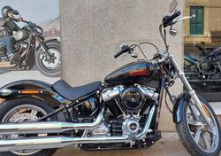 Harley-Davidson Softail Standard (2021 - 24) nuova