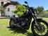 Harley-Davidson 114 Low Rider S (2021) - FXLRS (8)