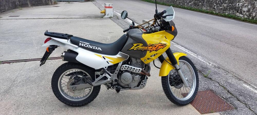 Honda NX 650 Dominator (4)