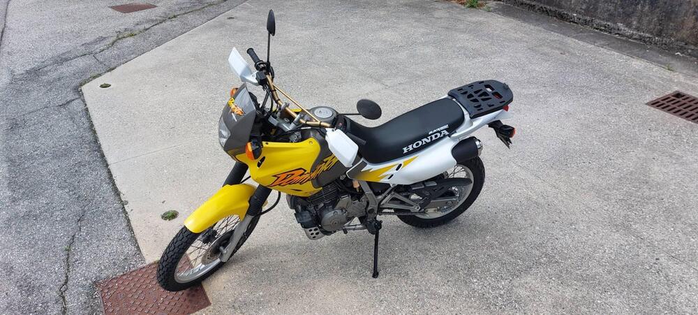 Honda NX 650 Dominator (3)