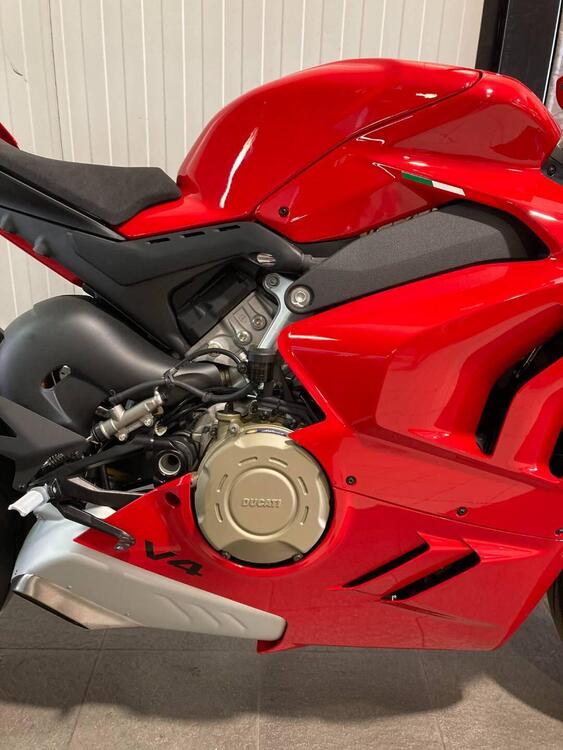 Ducati Panigale V4 (2022 - 24) (5)