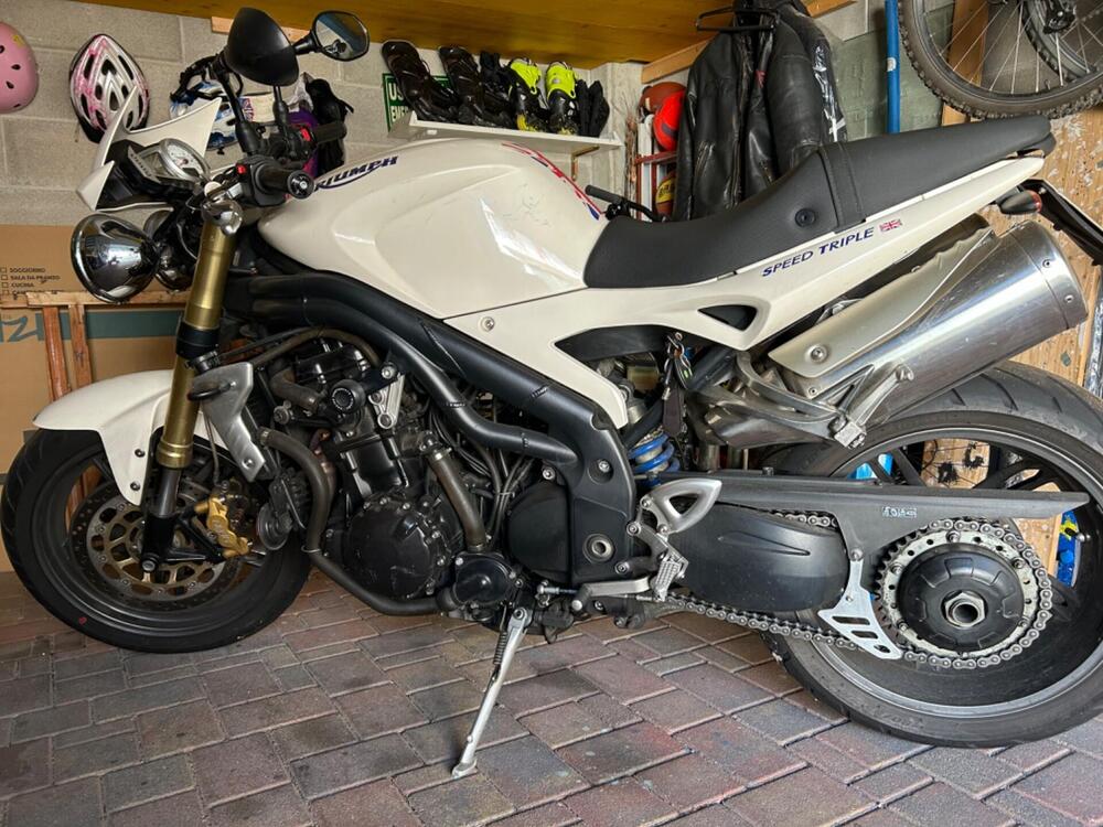 Triumph Speed Triple 1050 (2005 - 11) (3)