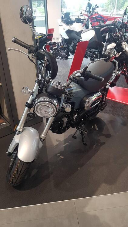 Honda Dax 125 (2023 - 24) (3)