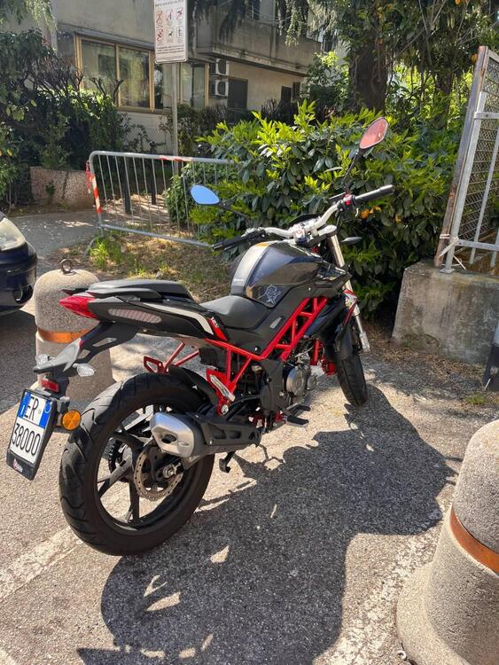 Benelli BN 125 (2018 - 20) (4)