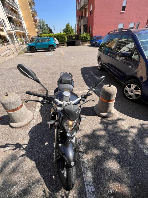 Benelli BN 125 (2018 - 20) (5)