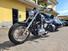 Harley-Davidson 1200 Custom (2007 - 13) - XL 1200C (7)