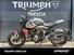 Triumph Trident 660 (2021 - 24) (9)