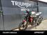 Triumph Trident 660 (2021 - 24) (10)