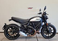 Ducati Scrambler 800 Icon (2021 - 22) usata