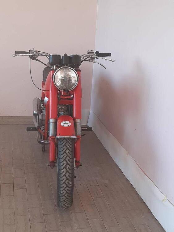 Moto Guzzi Nuovo falcone  (2)