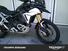 Triumph Tiger 900 Rally Pro (2020 - 23) (8)