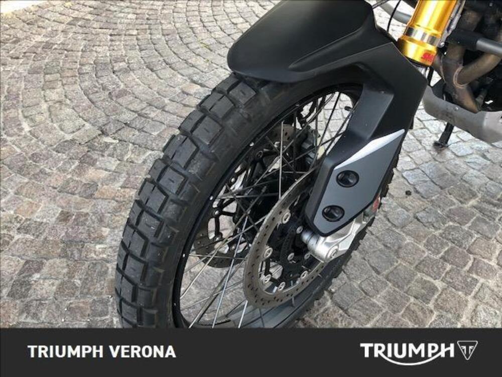 Triumph Tiger 900 Rally Pro (2020 - 23) (5)