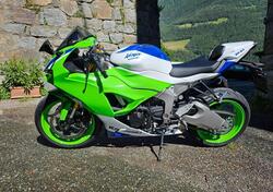 Kawasaki Ninja 636 ZX-6R 40th Anniversary Edition (2024) usata