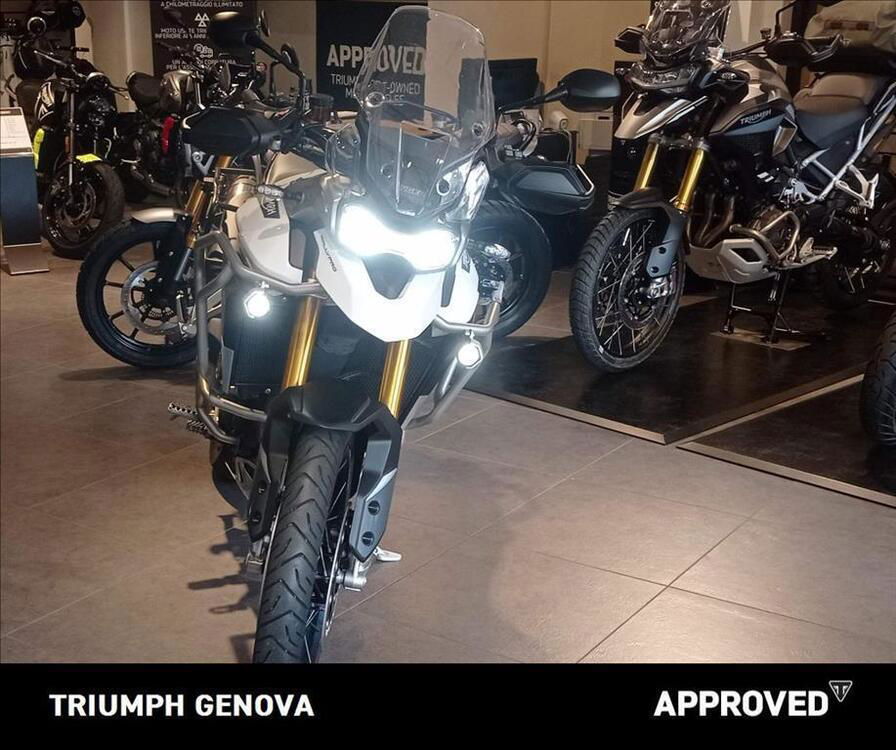 Triumph Tiger 900 Rally Pro (2020 - 23) (2)