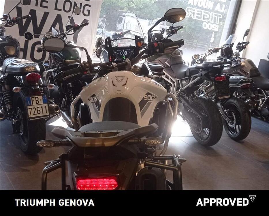 Triumph Tiger 900 Rally Pro (2020 - 23) (4)