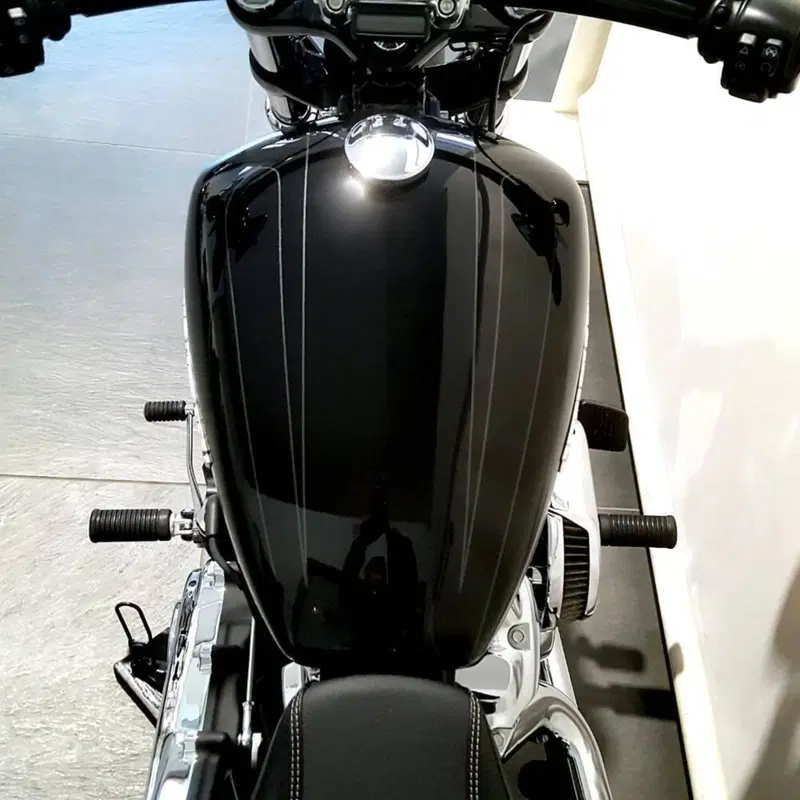 Harley-Davidson Breakout (2021 - 22) (6)
