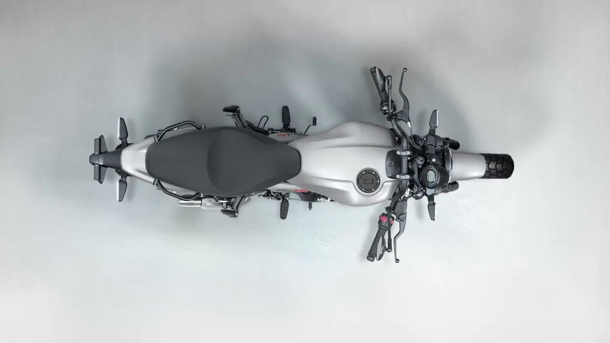 Royal Enfield Guerrilla 450 TEST: come è fatta e come va la nuova roadster indiana! (19)