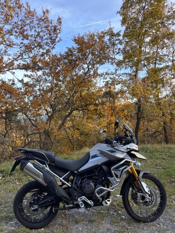 Triumph Tiger 900 Rally Pro (2020 - 23)