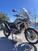 Triumph Tiger 900 Rally Pro (2020 - 23) (6)