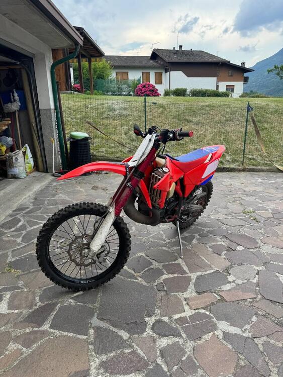 Betamotor RR 300 2T Enduro Racing (2017)