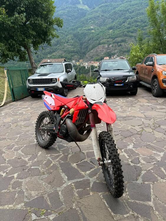 Betamotor RR 300 2T Enduro Racing (2017) (2)