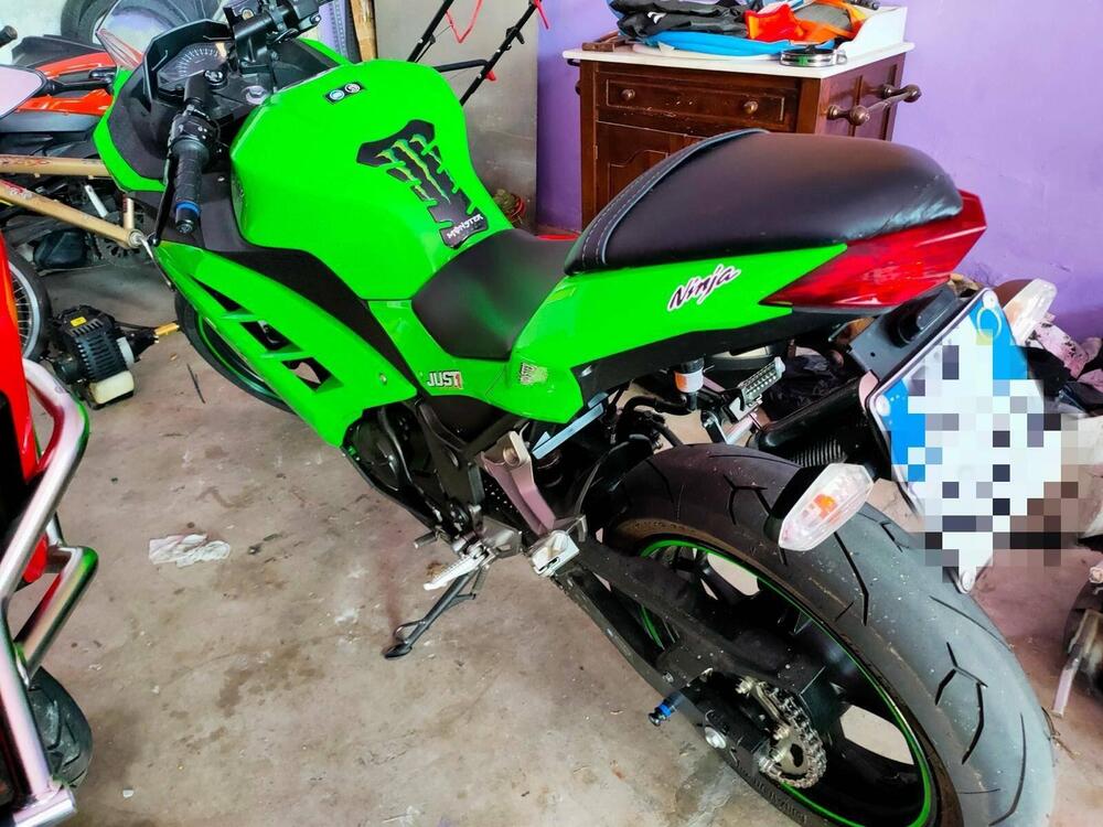 Kawasaki Ninja 300 ABS (2012 - 16) (2)