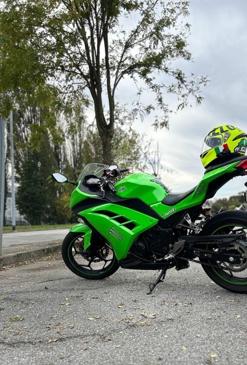 Kawasaki Ninja 300 ABS (2012 - 16)