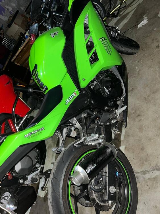 Kawasaki Ninja 300 ABS (2012 - 16) (3)