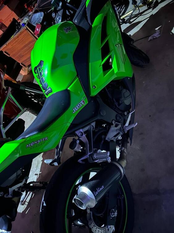 Kawasaki Ninja 300 ABS (2012 - 16) (4)