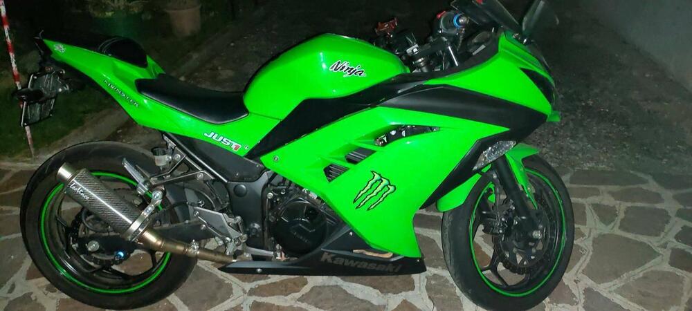 Kawasaki Ninja 300 ABS (2012 - 16) (5)