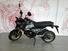 Honda Dax 125 (2023 - 24) (14)