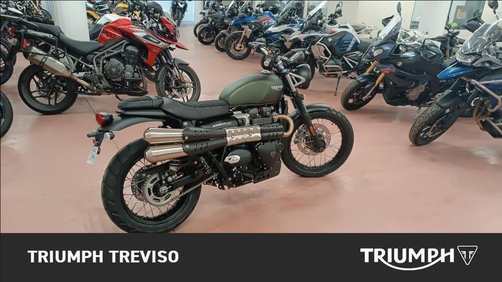 Triumph Scrambler 900 (2023 - 24) (2)