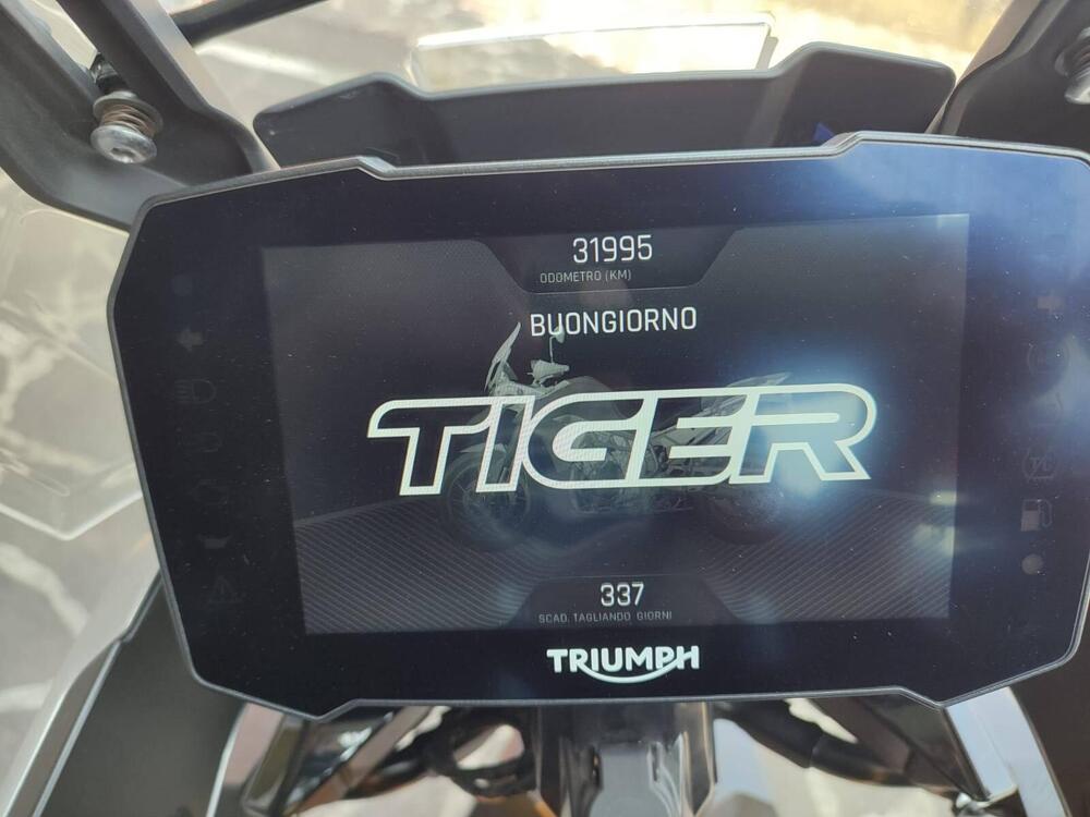 Triumph Tiger 900 Rally Pro (2020 - 23) (4)