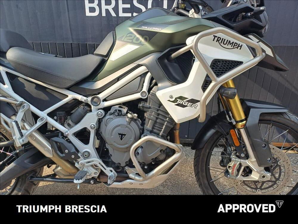 Triumph Tiger 1200 Rally Pro (2022 - 23) (4)