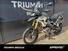 Triumph Tiger 1200 Rally Pro (2022 - 23) (14)