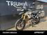 Triumph Tiger 1200 Rally Pro (2022 - 23) (12)