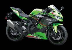 Kawasaki Ninja ZX-4RR (2024) nuova