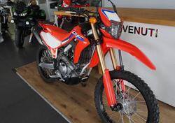 Honda CRF 300 L (2021 - 24) usata