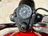 Moto Guzzi Falcone 500 (8)