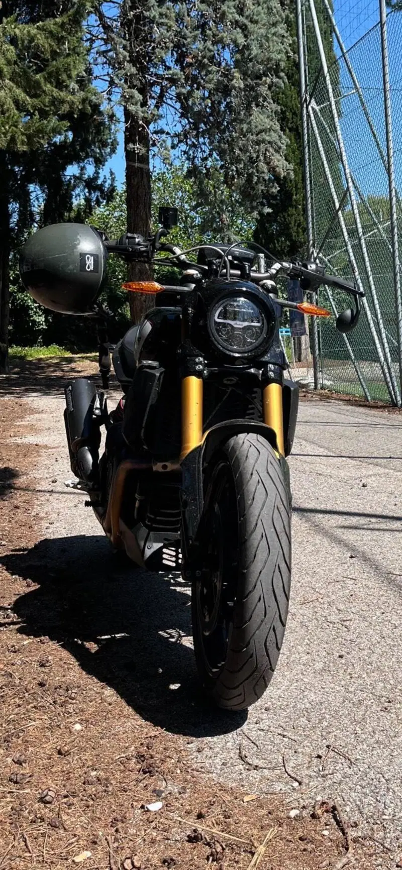 Indian FTR 1200 S (2019 - 20) (7)