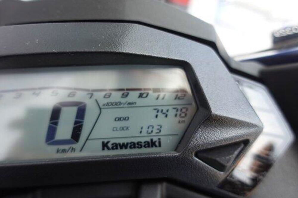 Kawasaki Ninja 125 (2021 - 24) (3)