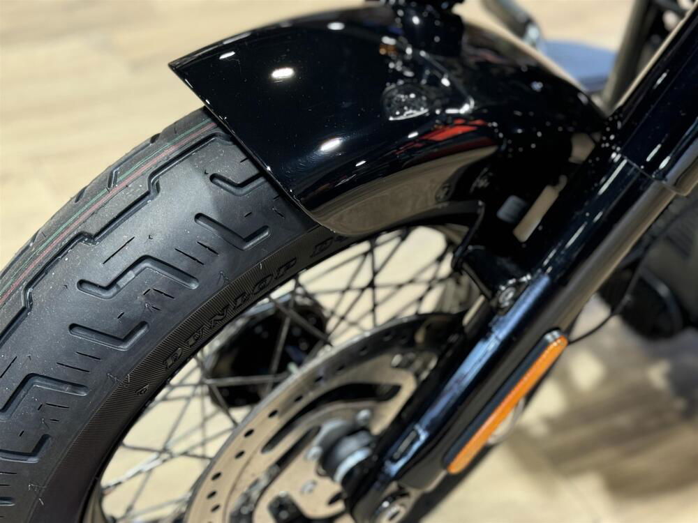 Harley-Davidson 107 Slim (2018 - 20) - FLSL (5)