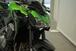 Kawasaki Z 900 Performance A2 (2019) (11)