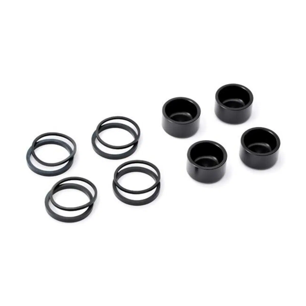 Kit paraoli e pistoncini per pinza freno anteriore 