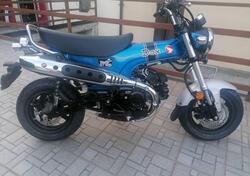 Honda Dax 125 (2023 - 24) nuova