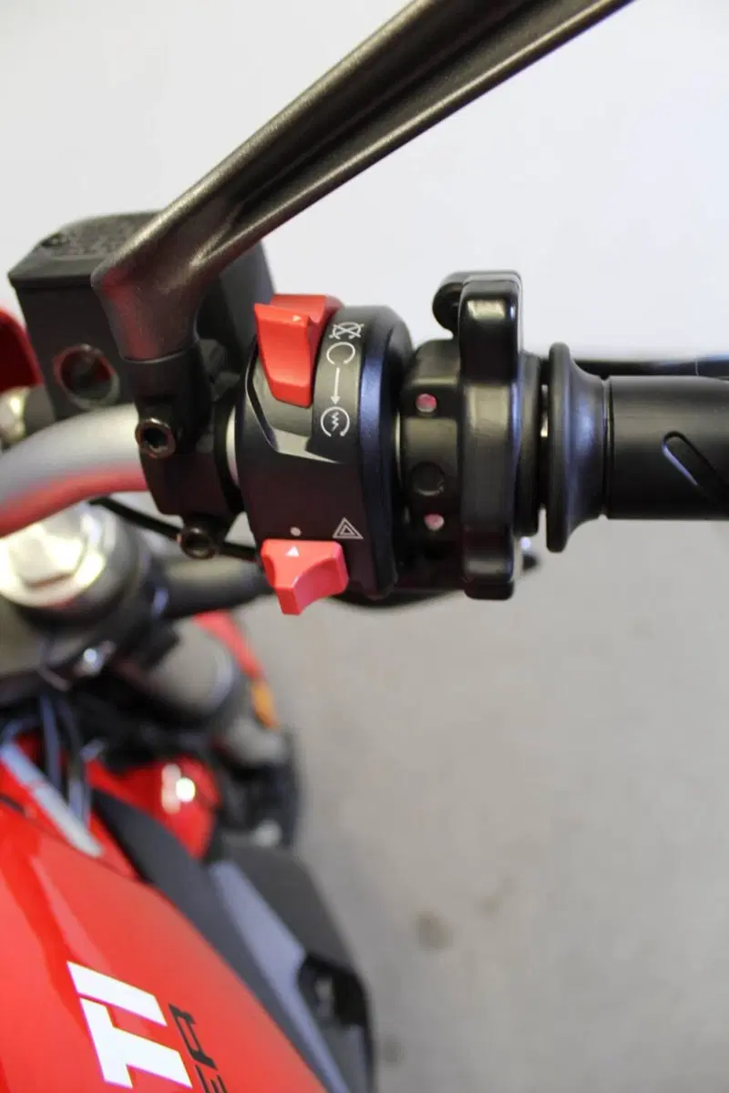 Ducati Monster 797 (2019 - 20) (10)